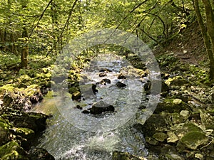 Small mountain river GerovÃÂica, Zamost - Region of Gorski kotar, Croatia / Mala gorska rijeka GerovÃÂica photo